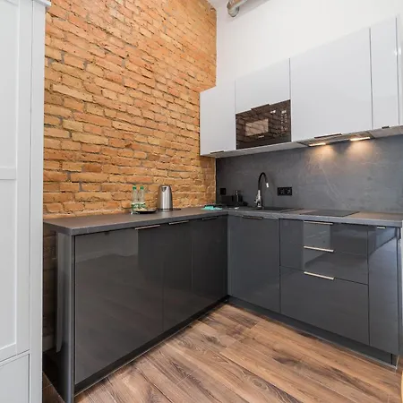Old Town Bright & Dark Apartment *